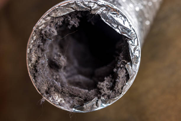 Best Residential Air Duct Cleaning  in Lower Grand Lagoon, FL