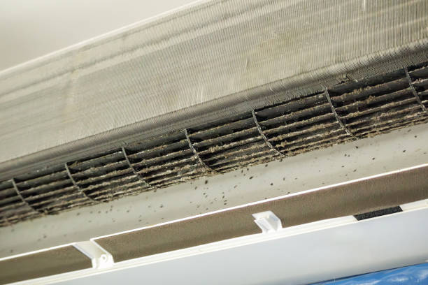 Best Air Duct Cleaning Near Me  in Lower Grand Lagoon, FL